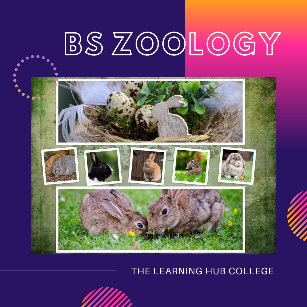 BS Zoology – TLHC